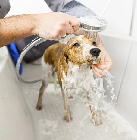 Baño con agua