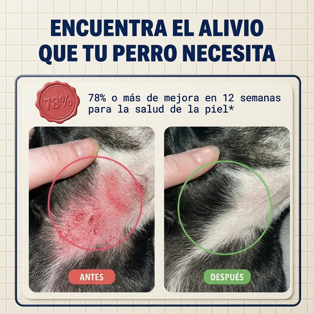 1) Perro comiendo de su plato con un bocado encima de la comida. 2) Detalle en primer plano de los bocados masticables en la mano.