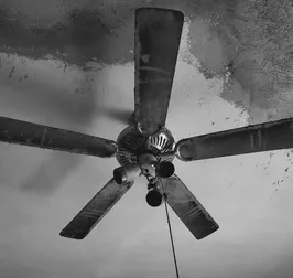Ventilador de techo